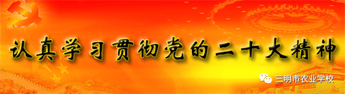 1697370998762218.png